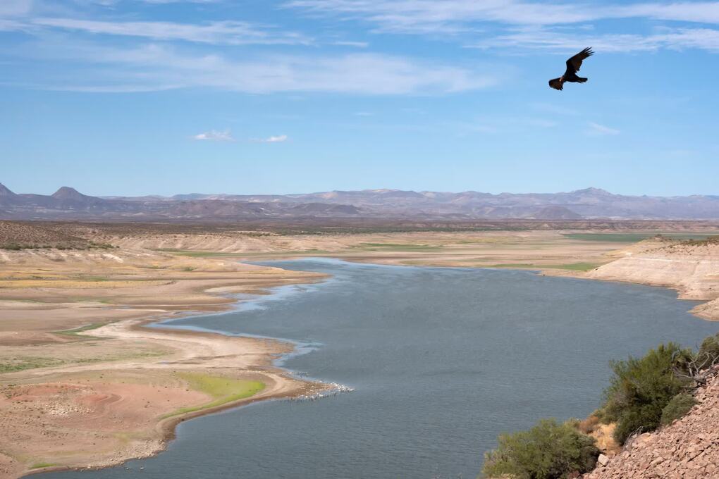 Hồ chứa San Carlos đang cạn nước gần Peridot, bang Arizona, Mỹ, ngày 3/7. Ảnh: Reuters
